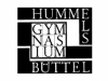 Gymnasium Hummelsbüttel